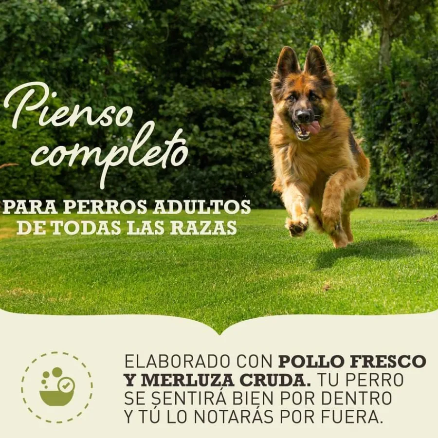 Acana Senior pienso para perros Outlet