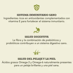 Acana Senior pienso para perros Outlet