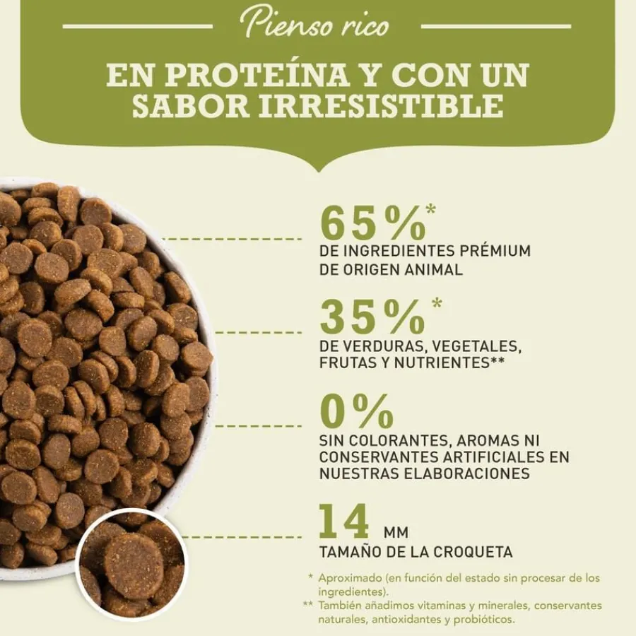 Acana Senior pienso para perros Outlet