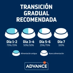 Advance Adult Pollo y Arroz pienso para gatos Clearance