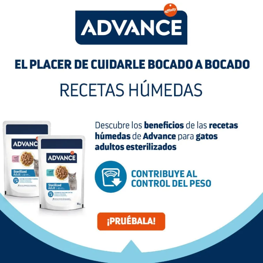 Advance Sterilized Adult Bacalao sobres para gatos Clearance