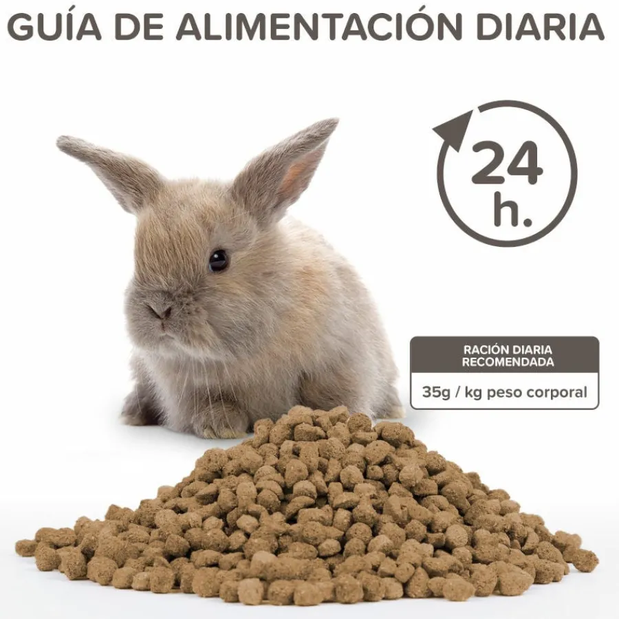 Beaphar Care+ Conejo Junior alimento para conejos