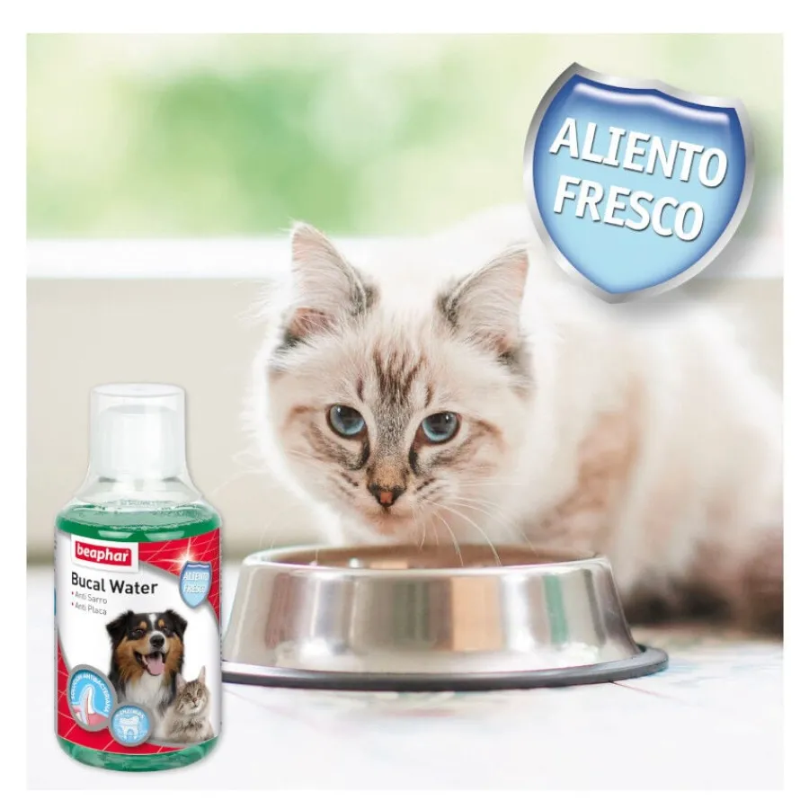 Beaphar Enjuague Bucal para perros y gatos Clearance