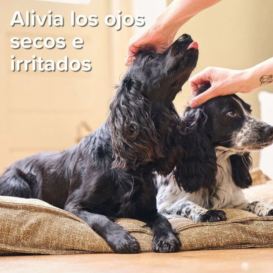 Beaphar Gel Ocular para mascotas Sale