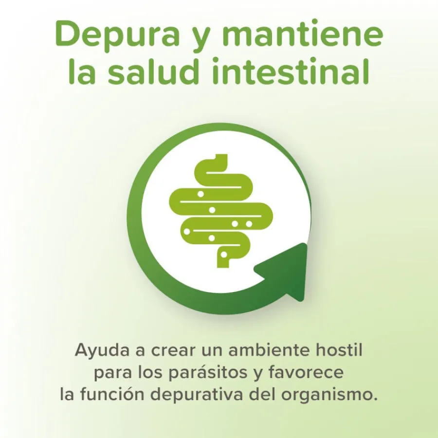 Beaphar VERMIpure Repelente Interno Natural en comprimidos para gatos y gatitos Outlet