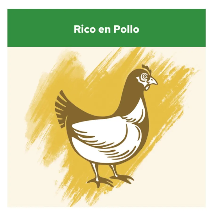 Cat Chow Sterilized Pollo Pienso para gatos Discount