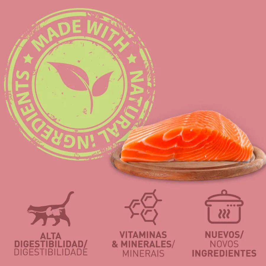 Catzilla Adult Grain Free Salmón en Paté lata para gatos Discount