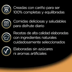 Cesar Recetas de la huerta Tarrina en Paté y Gelatina para Perros - Multipack Online
