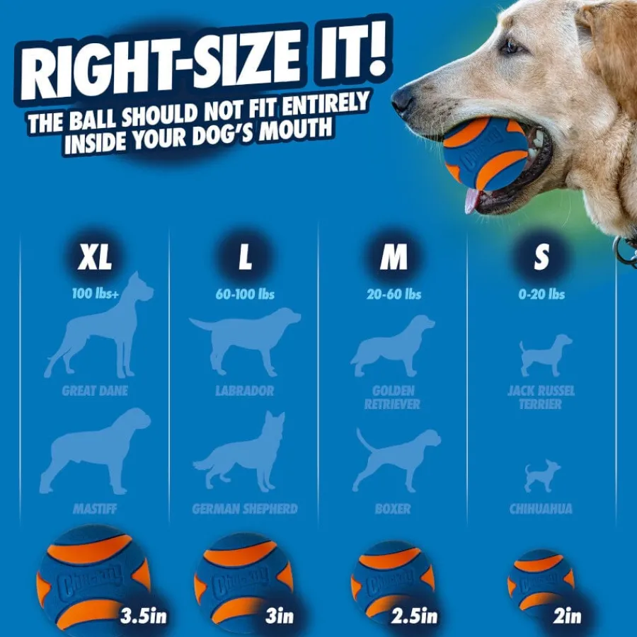 Chuckit! Ultra Squeaker Pelota con Sonido y Rebote para perros – Pack 2 New
