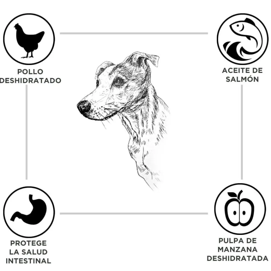 Criadores Adulto Pollo y Arroz pienso para perros de raza mediana Best