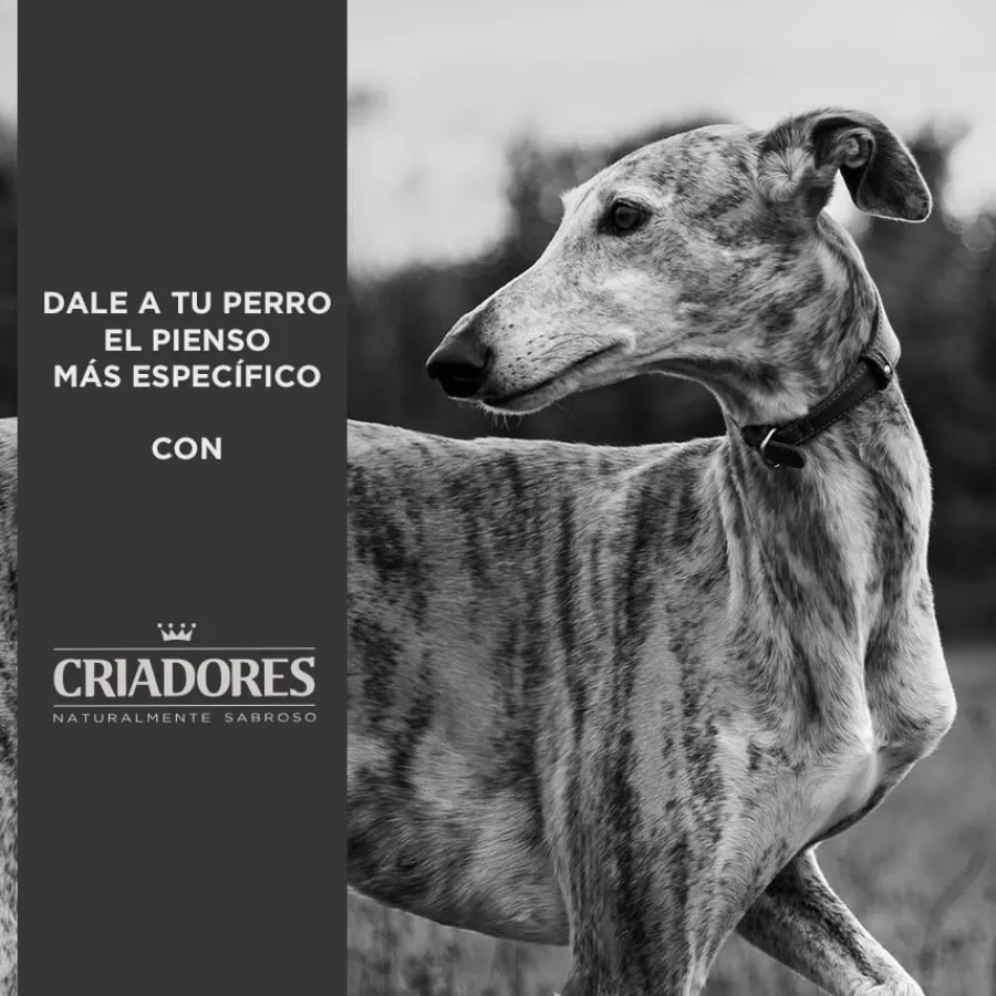 Criadores Adulto Pollo y Arroz pienso para perros de raza mediana Best