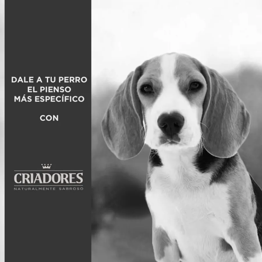 Criadores Dietetic Adulto Obesity pienso para perros Sale