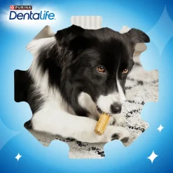 Dentalife Snacks Dentales para perros medianos Sale