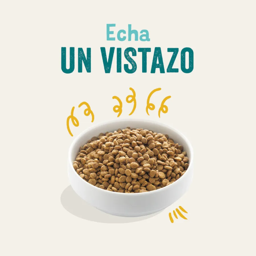 Edgard & Cooper Adult Bio Pavo pienso para perros Best