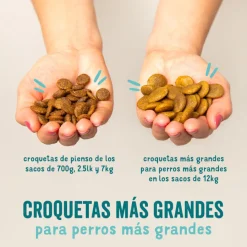 Edgard & Cooper Adult Cordero pienso para perros Clearance