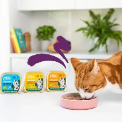 Edgard & Cooper Adult Salmón y Pollo Ecológicos en Paté tarrina para gatos Best