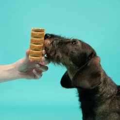 Edgard & Cooper Barritas de Cordero y Pavo snack para perros Outlet