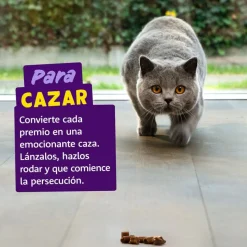 Edgard & Cooper Rollitos Salmón y Pollo para gatos New