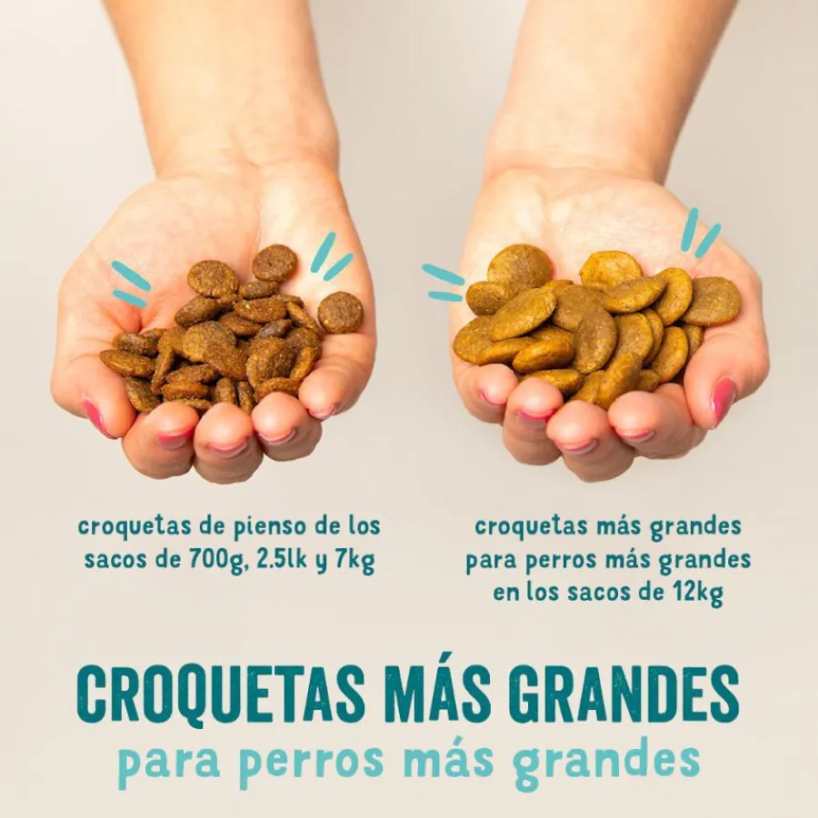 Edgard & Cooper Senior Salmón Noruego y Pollo pienso para perros