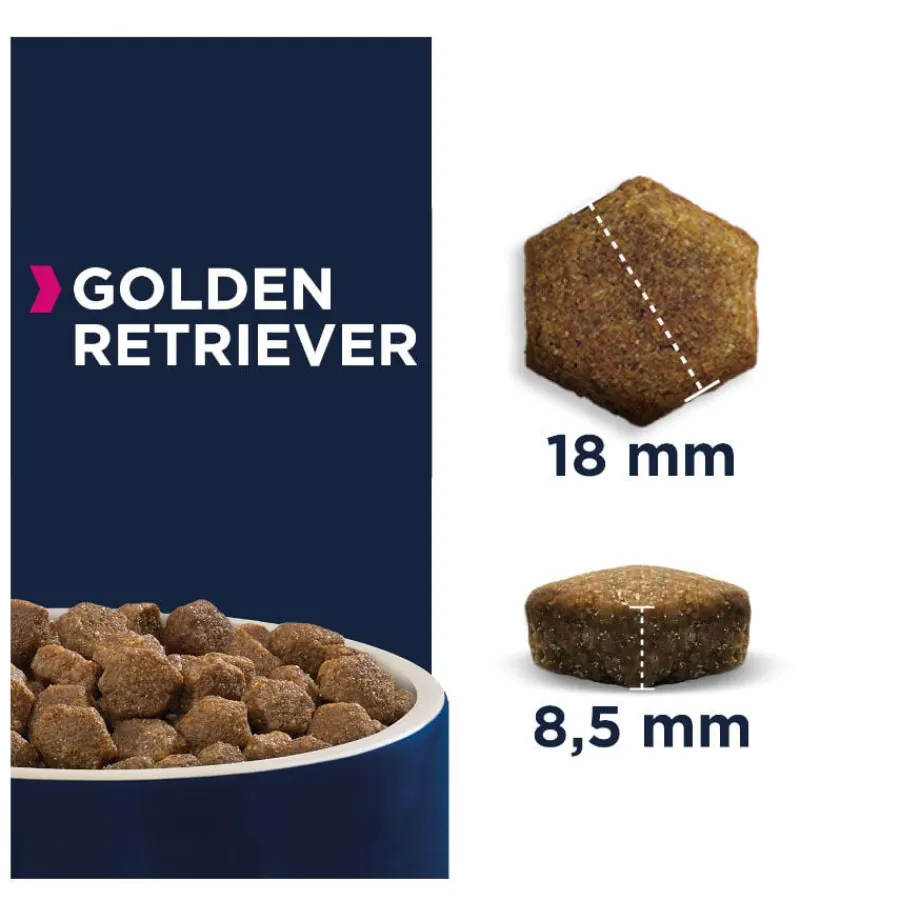 Eukanuba Adult Golden Retrievers pienso para perros Best