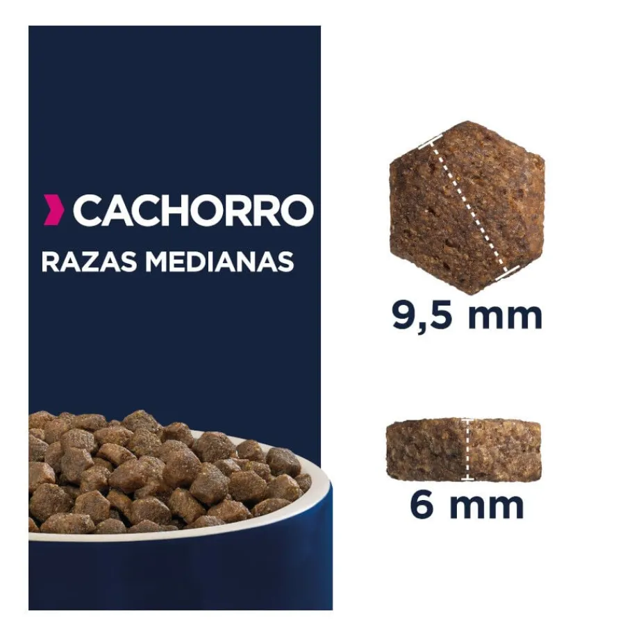 Eukanuba Puppy Medium Pollo pienso para perros Best