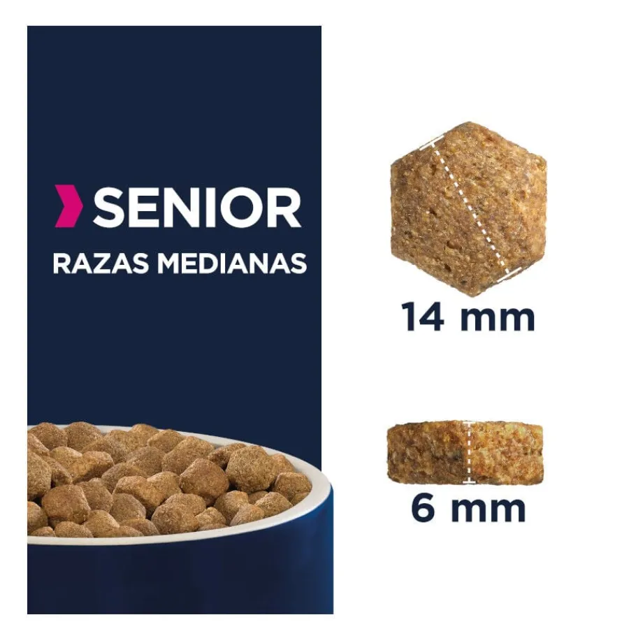Eukanuba Senior Medium Pollo pienso para perros Best