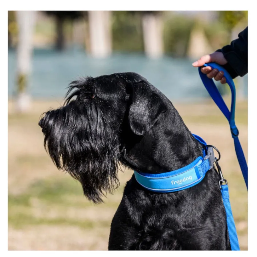 Freedog Cool Pro Tech Correa Refrescante Azul para perros Discount