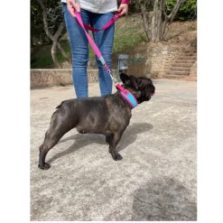 Freedog Cool Pro Tech Correa Refrescante Fucsia para perros Online