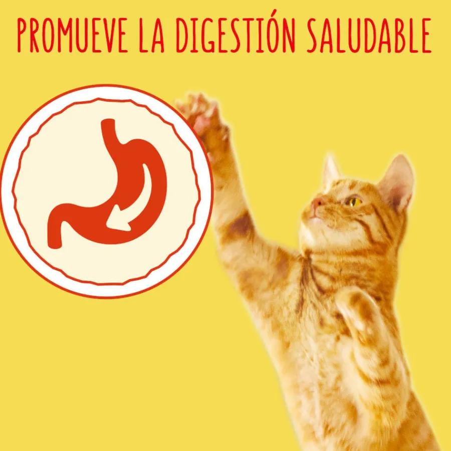 Friskies Conejo y Pollo pienso para gatos Outlet