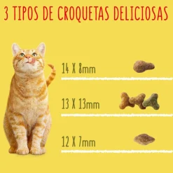 Friskies Conejo y Pollo pienso para gatos Outlet