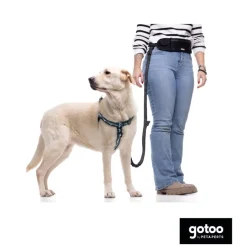 Gotoo Arnés estampado verde para perros Online