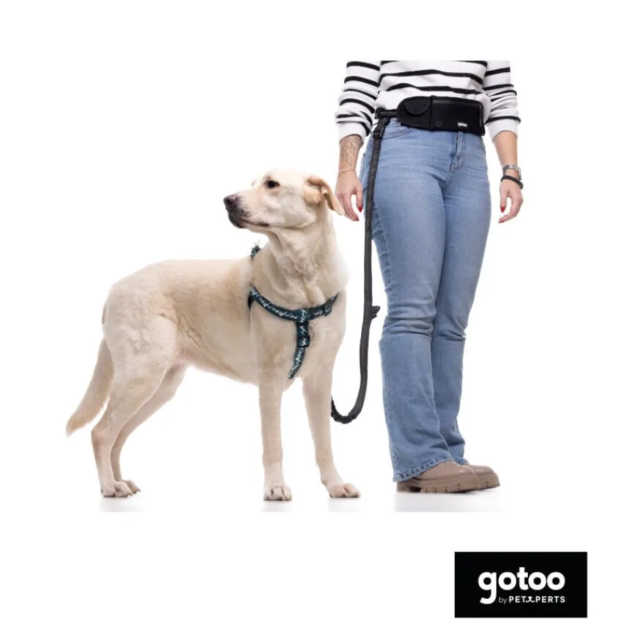 Gotoo Arnés estampado verde para perros Online