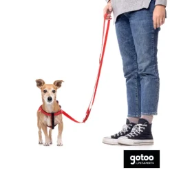 Gotoo Arnés reflectante de neopreno rojo para perros Discount