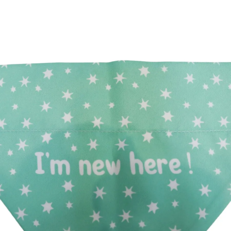 Gotoo Bandana estampada verde para perros Discount