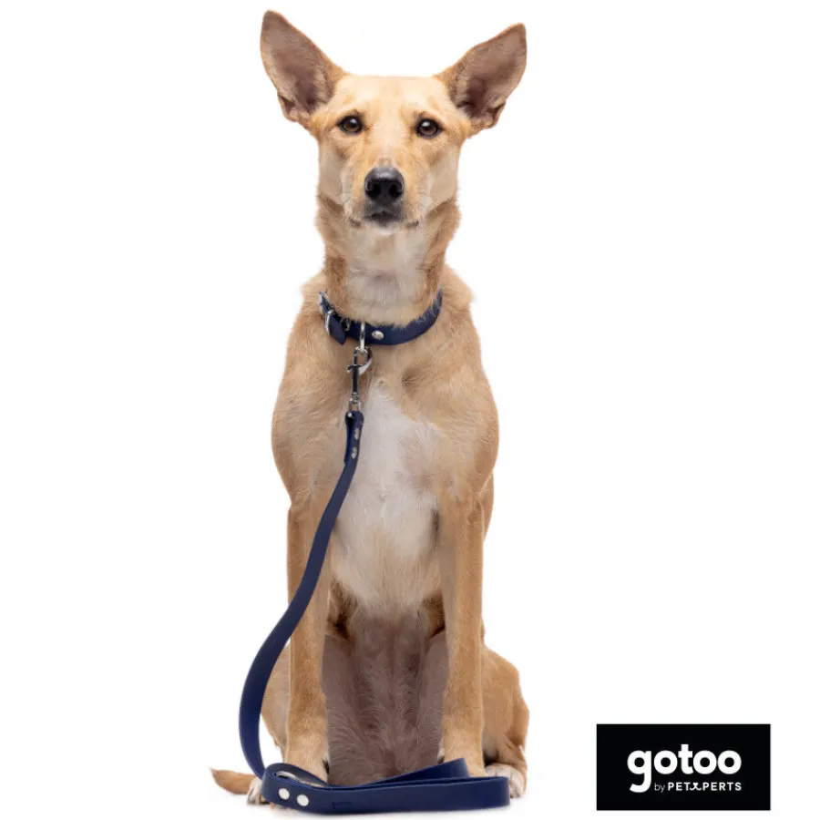 Gotoo Collar Biothane azul para perros Best