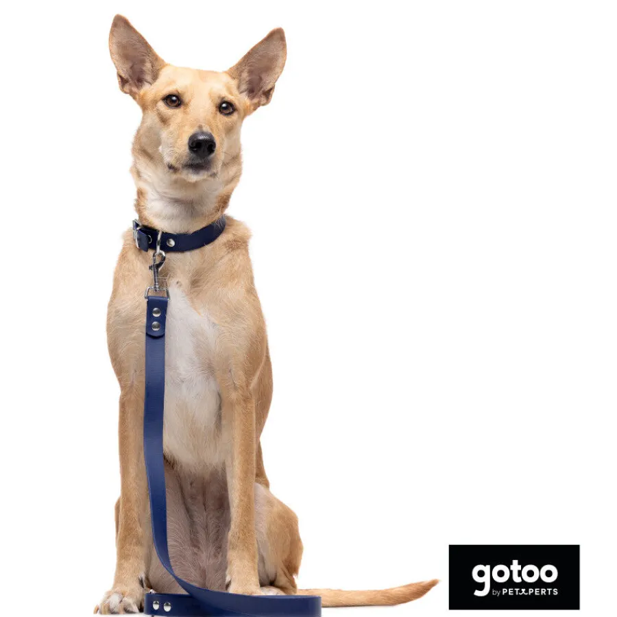 Gotoo Collar Biothane azul para perros Best