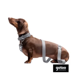 Gotoo Collar Biothane gris para perros Hot