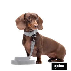 Gotoo Collar Biothane gris para perros Hot
