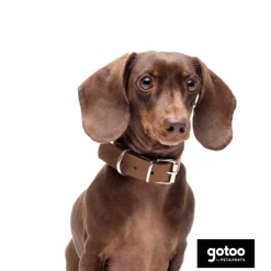 Gotoo Collar Biothane marrón para perros Sale