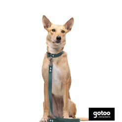 Gotoo Collar Biothane verde para perros Online