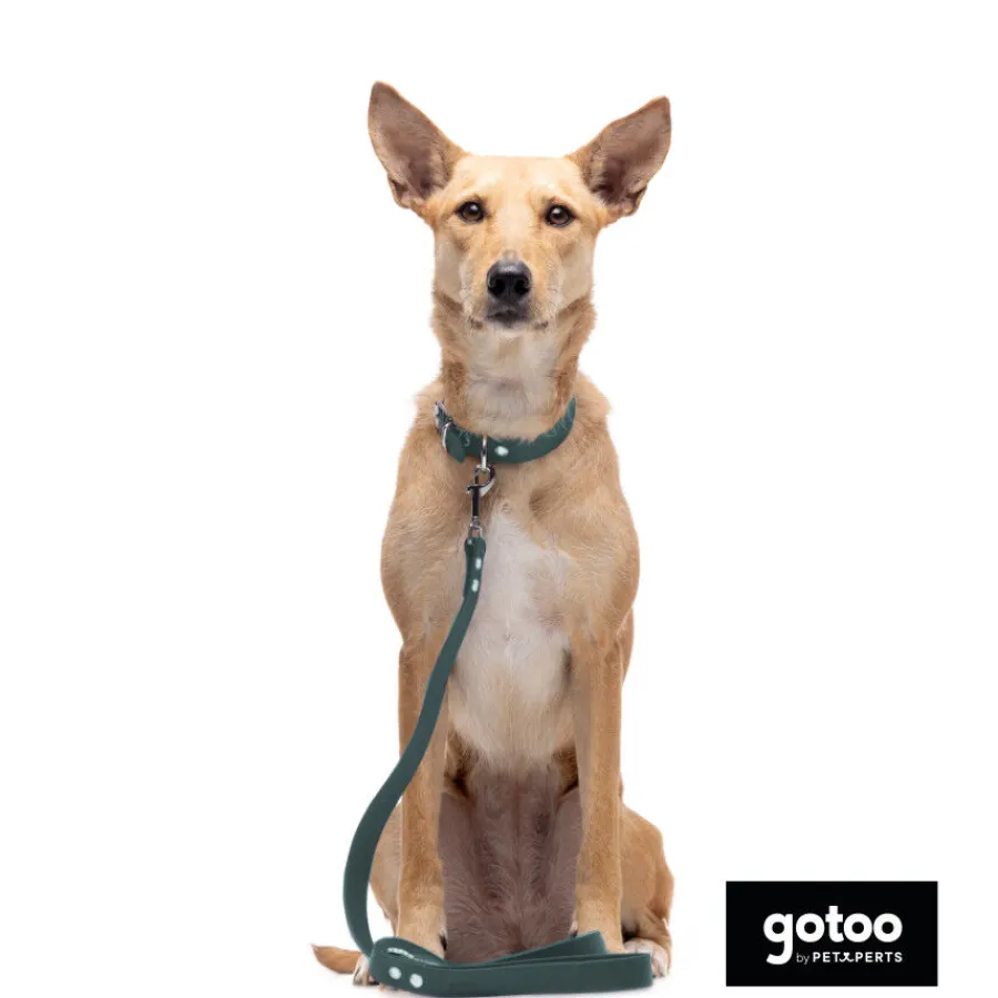 Gotoo Collar Biothane verde para perros Online