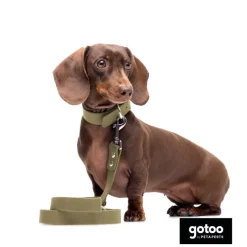 Gotoo Collar Biothane verde oliva para perros Online