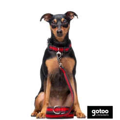 Gotoo Collar de malla transpirable rojo para perros New