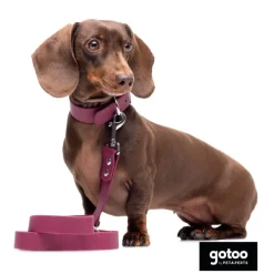Gotoo Correa Biothane roja vino para perros Sale