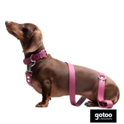 Gotoo Correa Biothane roja vino para perros Sale
