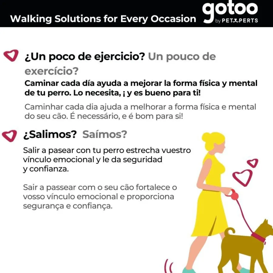 Gotoo Correa de nylon negra reflectante para perros Best