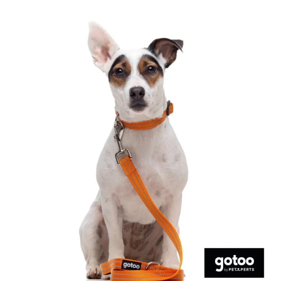 Gotoo Correa de nylon reflectante naranja para perros
