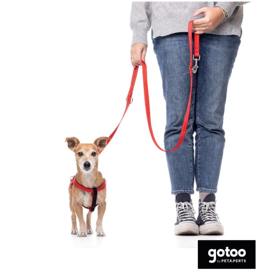 Gotoo Correa de nylon roja reflectante para perros Sale