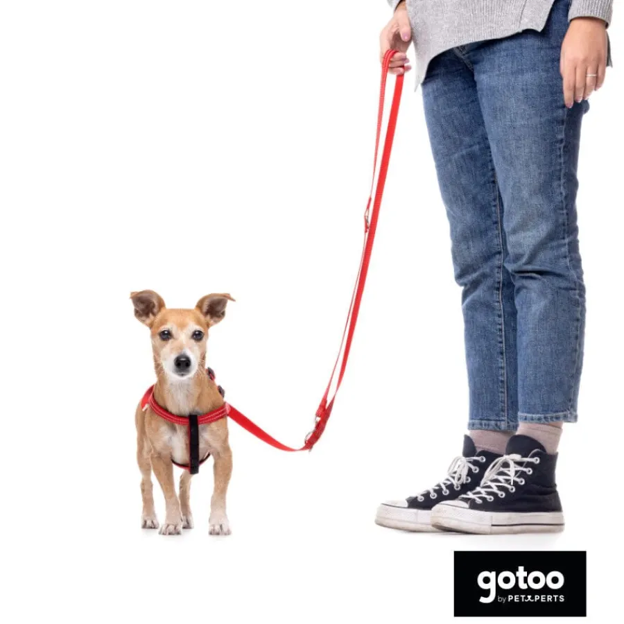 Gotoo Correa de nylon roja reflectante para perros Sale