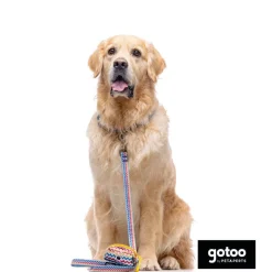 Gotoo Correa estampada rayas zig-zag para perros Discount